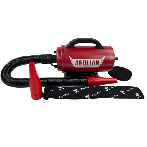 Aeolus Aeolian Pro Blower