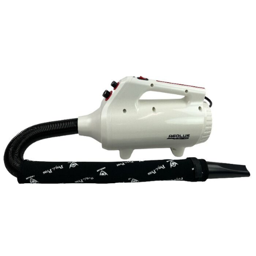 Aeolus Nebula Blower