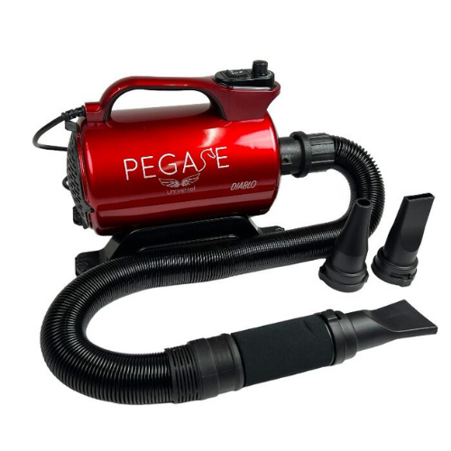 Phoenix Pegase Diablo Blower