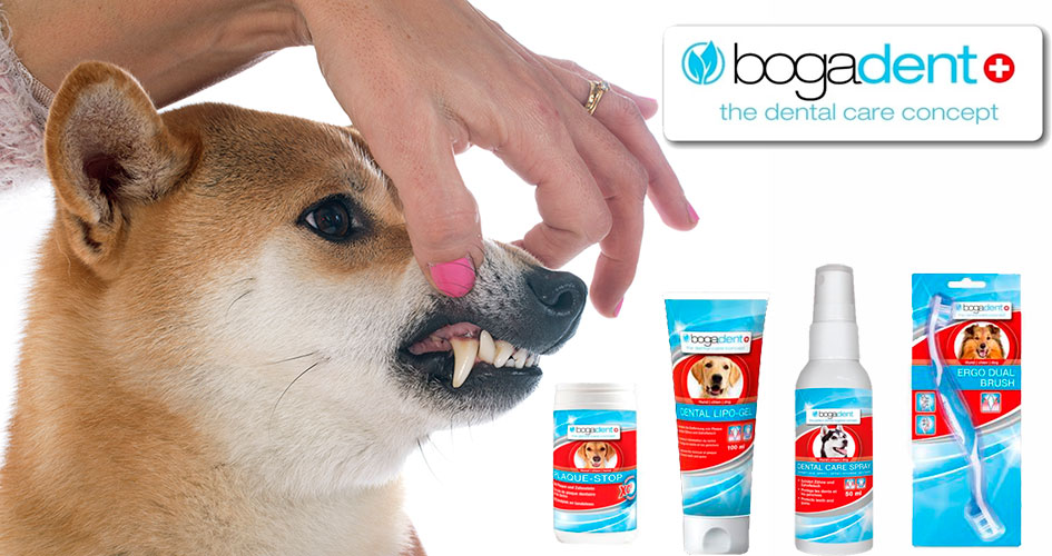 bogadent tandpleje for hunde