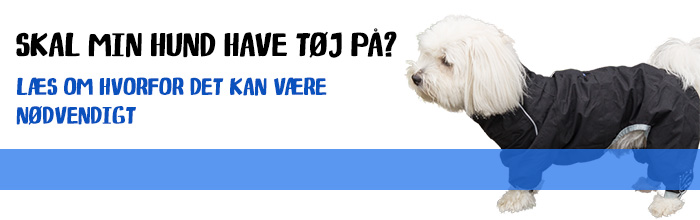 Hundeguide til Hundetøj