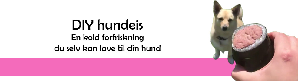 Lav din egen is til hunde