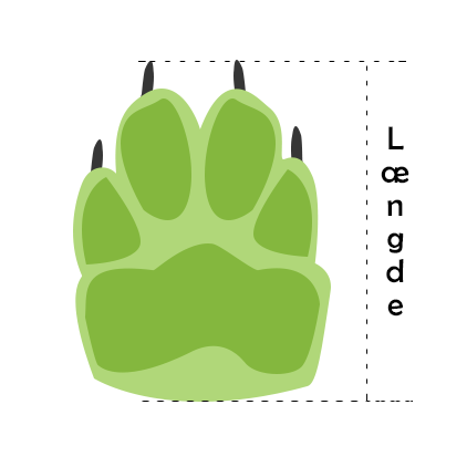 Sådan finder du størrelse på hundesko