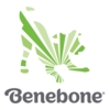 Benebone
