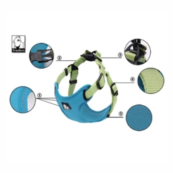 True Love Step in sele