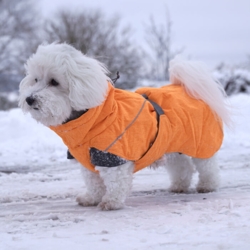 Hurtta Expedition Parka | Dækken i orange