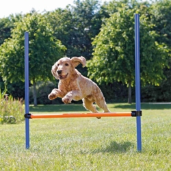 Trixie Agility Hurdle | Agility forhindring