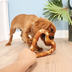 George og Denta Fun Chicken Heart med cavalier hvalp