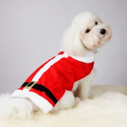 Julemandstøj til hund