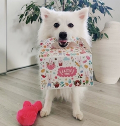 Påske gaveæske | U. indhold