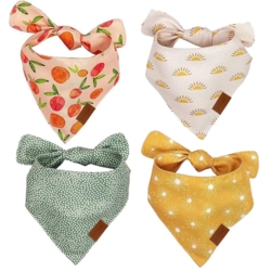 Ollipet Trendy Bandana