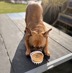 Ollipet Eksklusive Massage og fældningsbørste 2i1