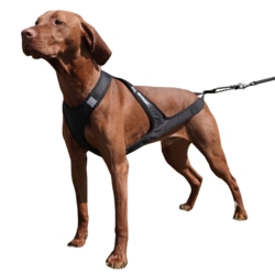 Ollipet Fast Runner Træksele