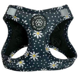 Ollipet City Lux sæt | Margueritter