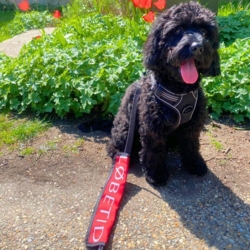 Ruth nyder det gode vejr i fred og ro med Ollipet Løbetid Mærkat