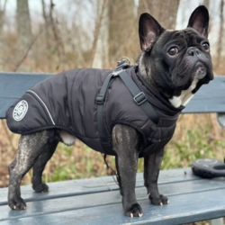 Ollipet Sirius de Luxe Dynejakke | Strong Body