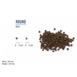 Størrelsen på mini breed foderet fra Probiotic LIVE