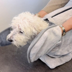 Ollipet koala Dry Bag med lommer til hænderne