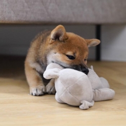 En perfekt bamse til hvalpe