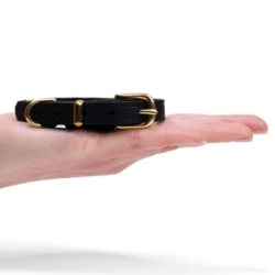 Et super elegant hundehalsbånd perfekt hvis du har en mindre hunderace.