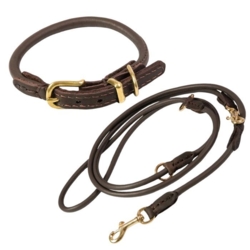 Luksuriøst sæt med hundehalsbånd og hundesnor til gåturen