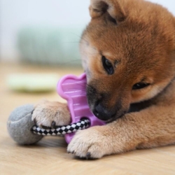 Perfekt legetøj til de små hvalpetænder