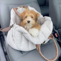 Ollipet Paris hundetasken i sand kan bruges som bæretaske eller bilsæde. Det medfølger blødt tæppe og sød bamse.