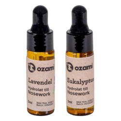 Lavendel eller eukalyptus – perfekte dufte til Nosework-træning