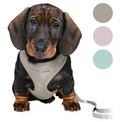 Trixie Puppy Dog hvalpesele og line