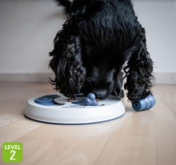 Strategispil Flip Board fra Trixie | Level 2