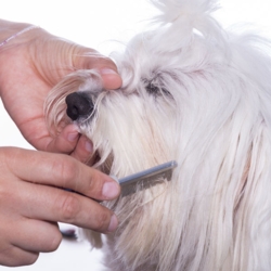 KW SMART Mini Tættekam