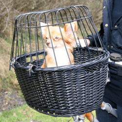Trixie cykelkurv bejset flet med gitter