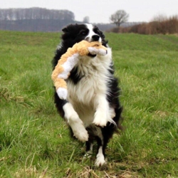 KONG Scrunch Knots dyr | Ræv