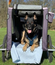 Biltæppe i 100% kvalitet