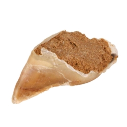 Klov med kødpostejfyld