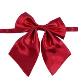 Pyntesløjfe i satin til halsen | Rød