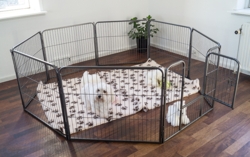 Ollipet hvalpegård i kraftig hammerlak | 8 kantet