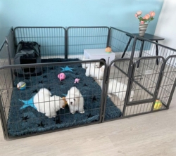 Ollipet hvalpegård i kraftig hammerlak med bomuldshvalpe på 7 uger