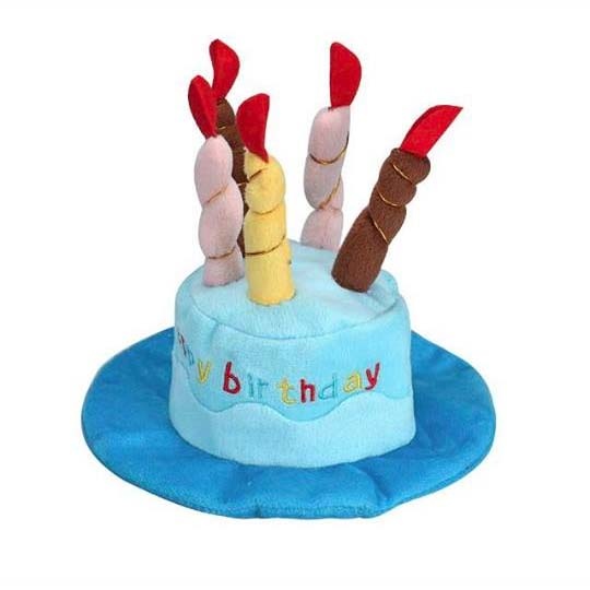 Fødselsdagshat til hunde|lyseblå