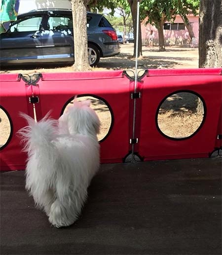 Hvalpegården er også perfekt som afskærmning på campingturen.