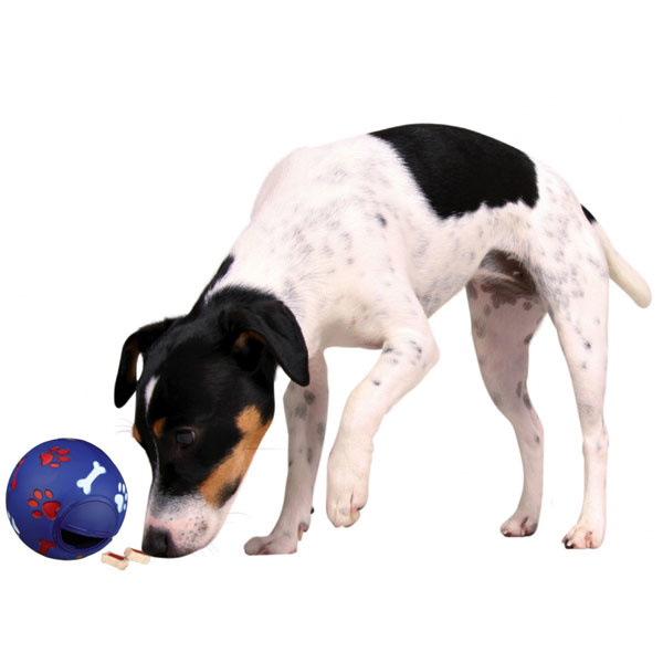 Trixie Snacky Aktivitetsbold