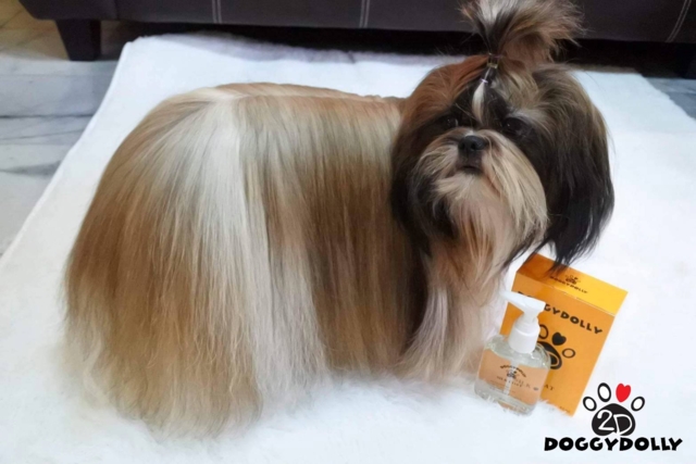 Doggy Dolly Silk coat