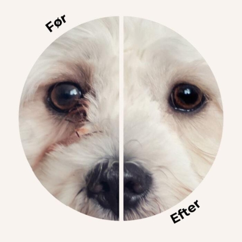 Før og efter billeder - Fjern effektivt tårestriber