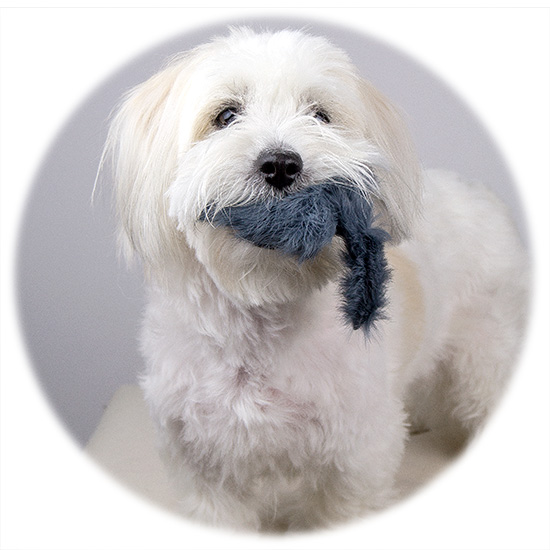 Show Tech Mus af kaninpels