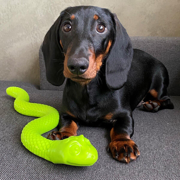 Snack Slange | Godbidgemmer