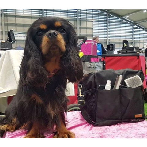 Smuk Udstillingstaske, med plads til det hele!