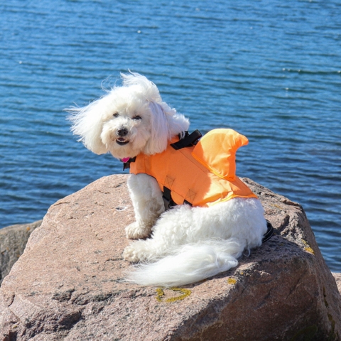 Hajredningsvest  | Shark - Orange