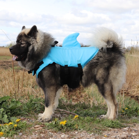 Svømmevest til hunde