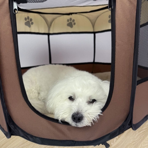 Rund Hvalpe kravlegård | Kanvas I Brun