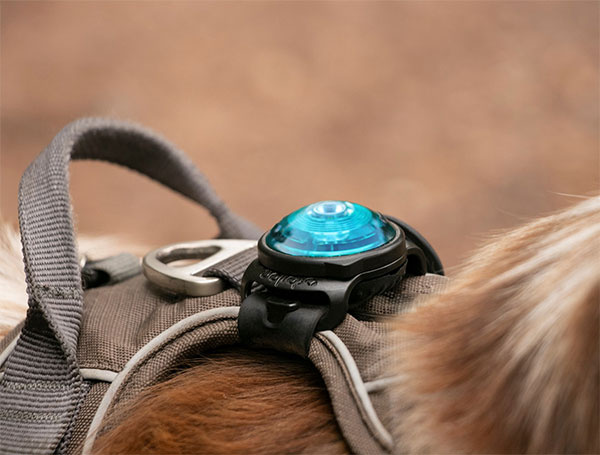 Orbiloc Rubber & Velcro Strap